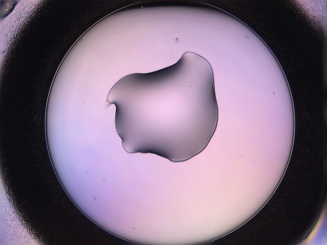 05qi_A5_ImagerDefaults_1.jpg