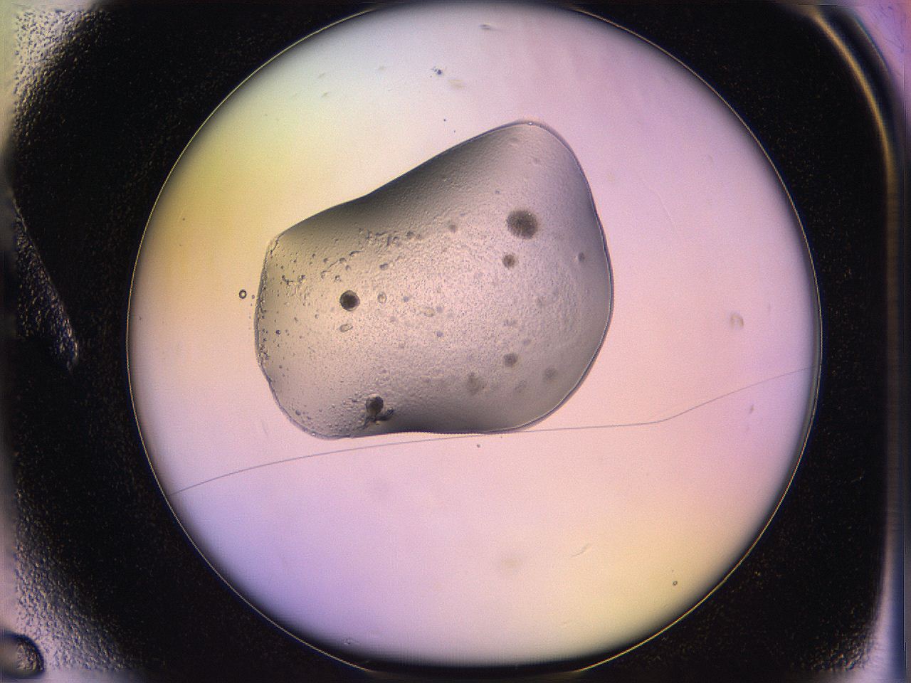 05qi_A6_ImagerDefaults_2.jpg