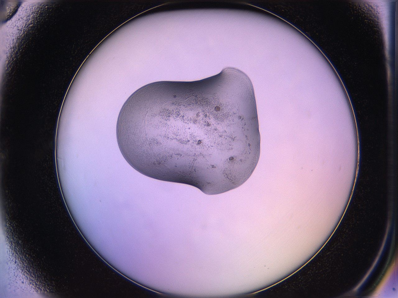 05qi_A6_ImagerDefaults_3.jpg