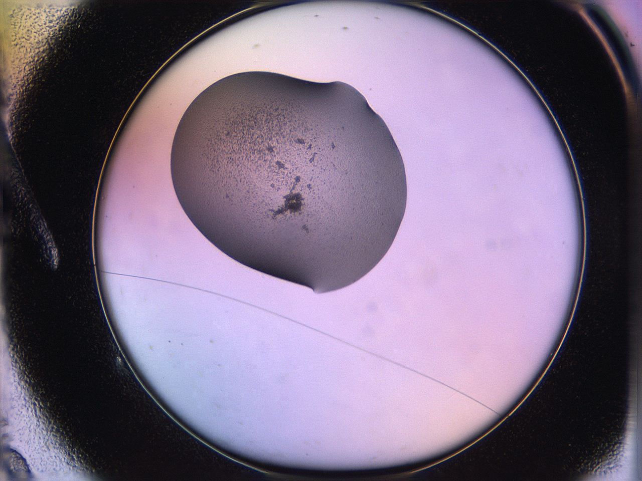05qi_A9_ImagerDefaults_3.jpg
