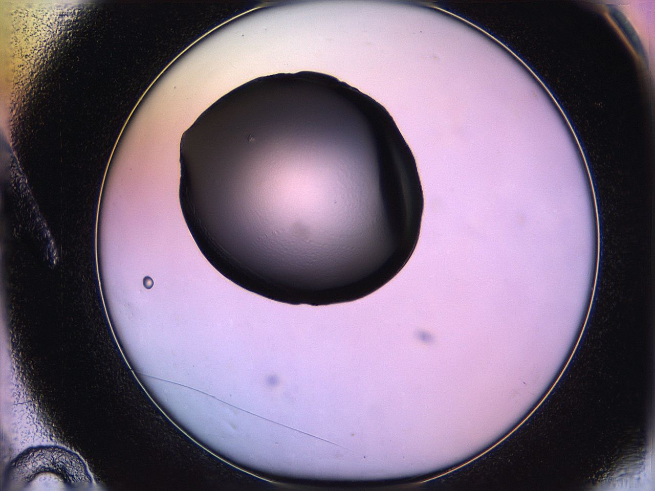 05qi_A10_ImagerDefaults_1.jpg