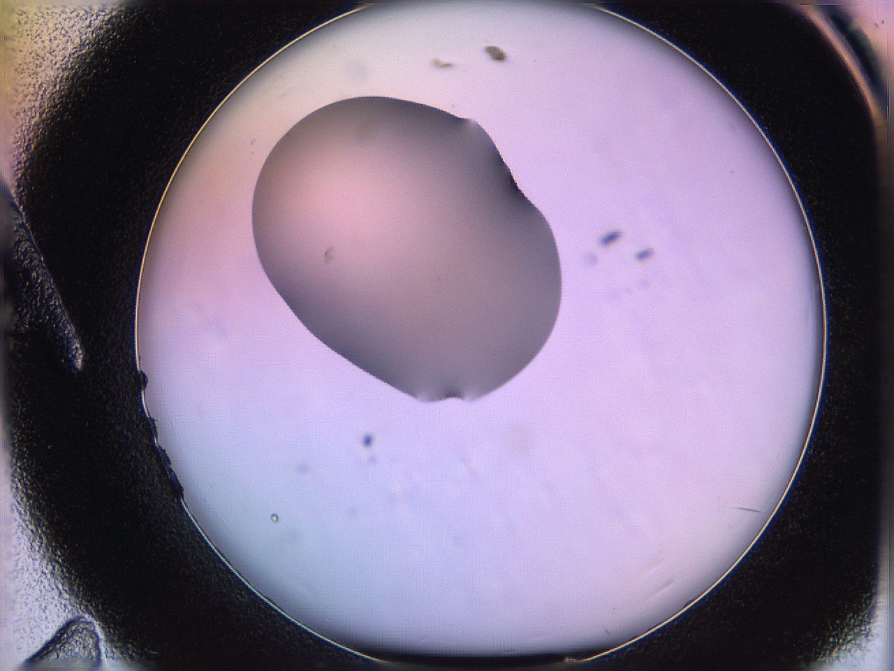 05qi_A11_ImagerDefaults_3.jpg