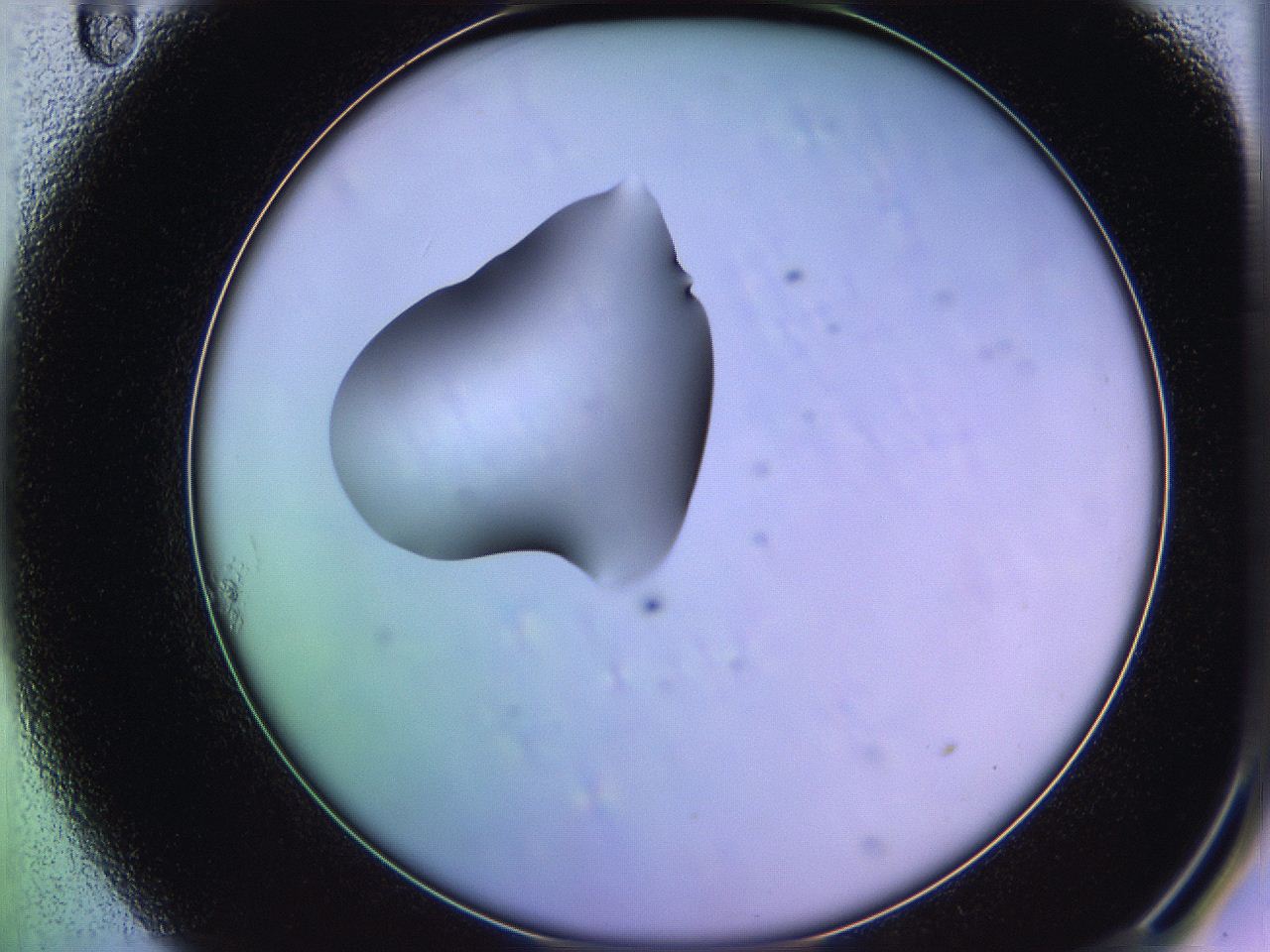 05qi_A11_ImagerDefaults_1.jpg