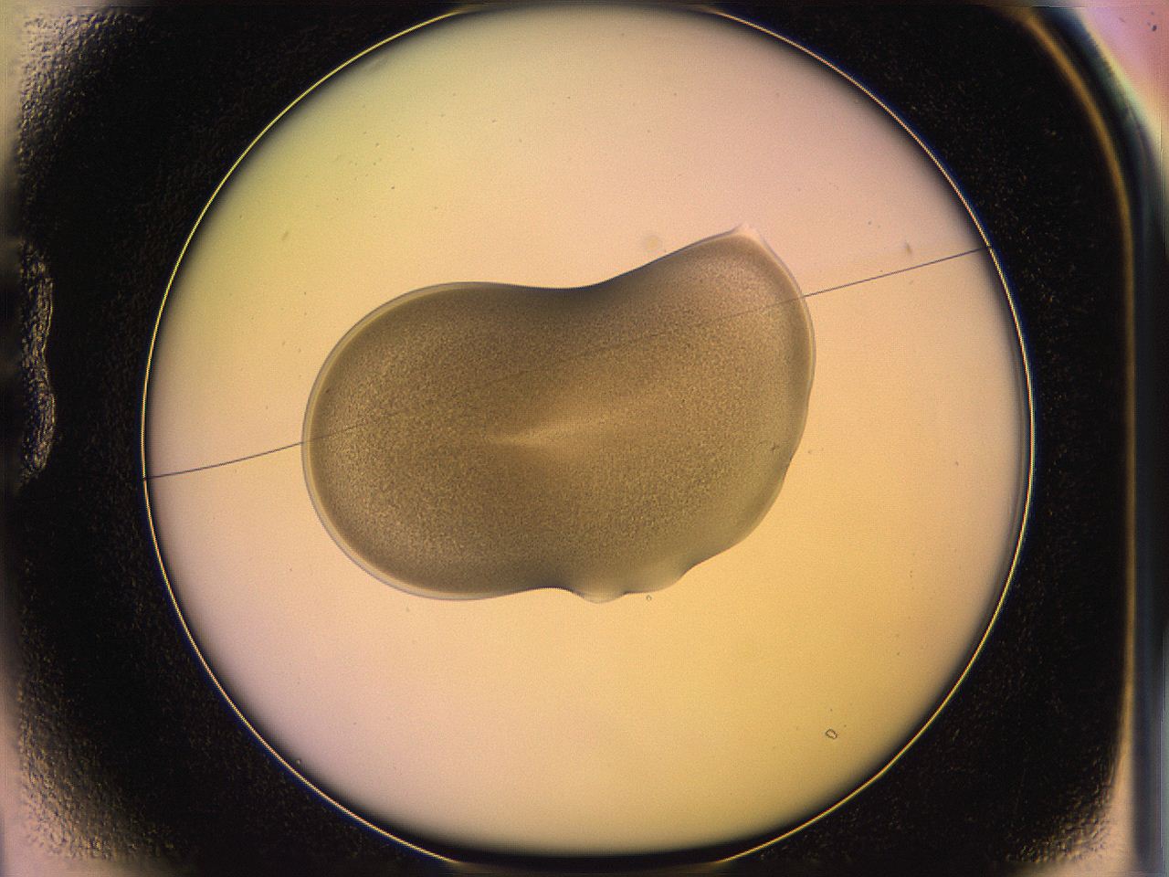 05qi_B1_ImagerDefaults_3.jpg