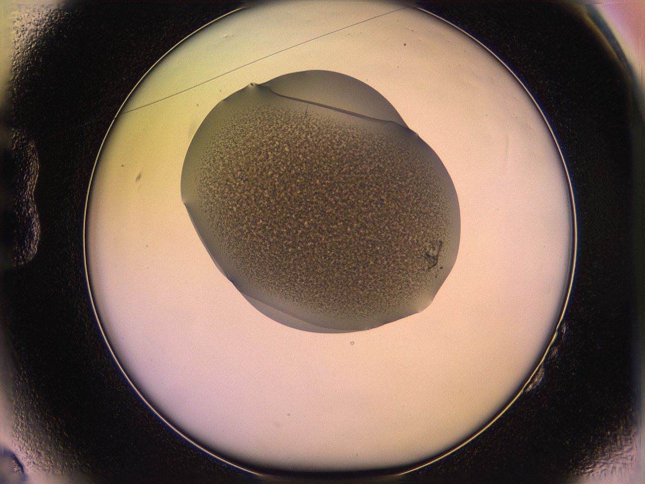 05qi_B2_ImagerDefaults_3.jpg