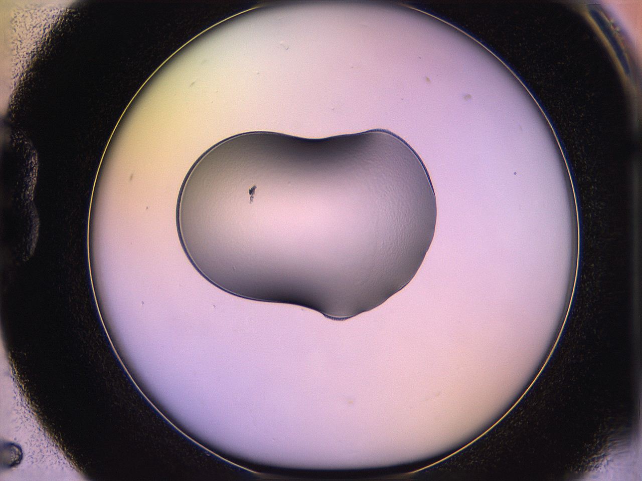 05qi_B5_ImagerDefaults_1.jpg