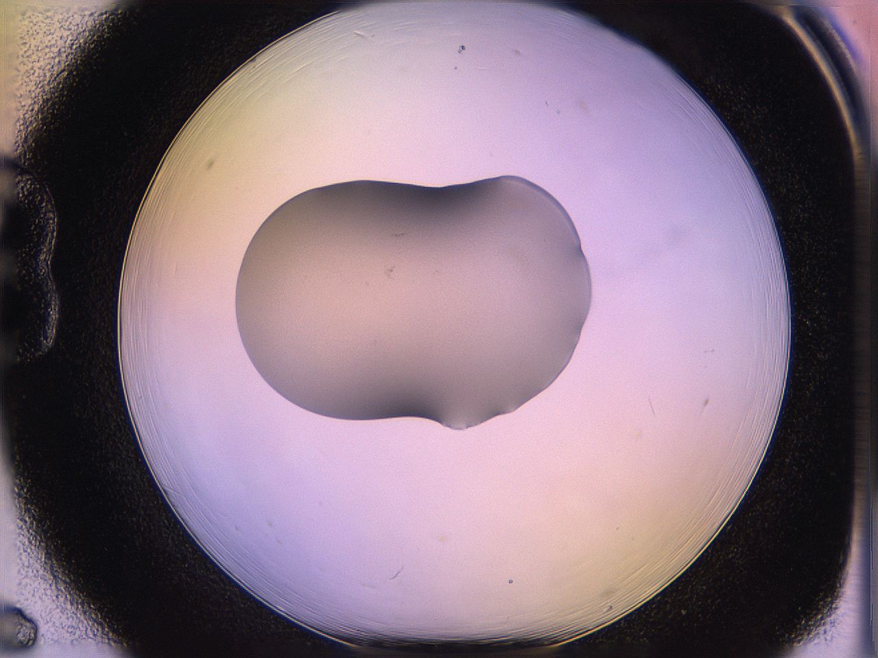 05qi_B6_ImagerDefaults_1.jpg