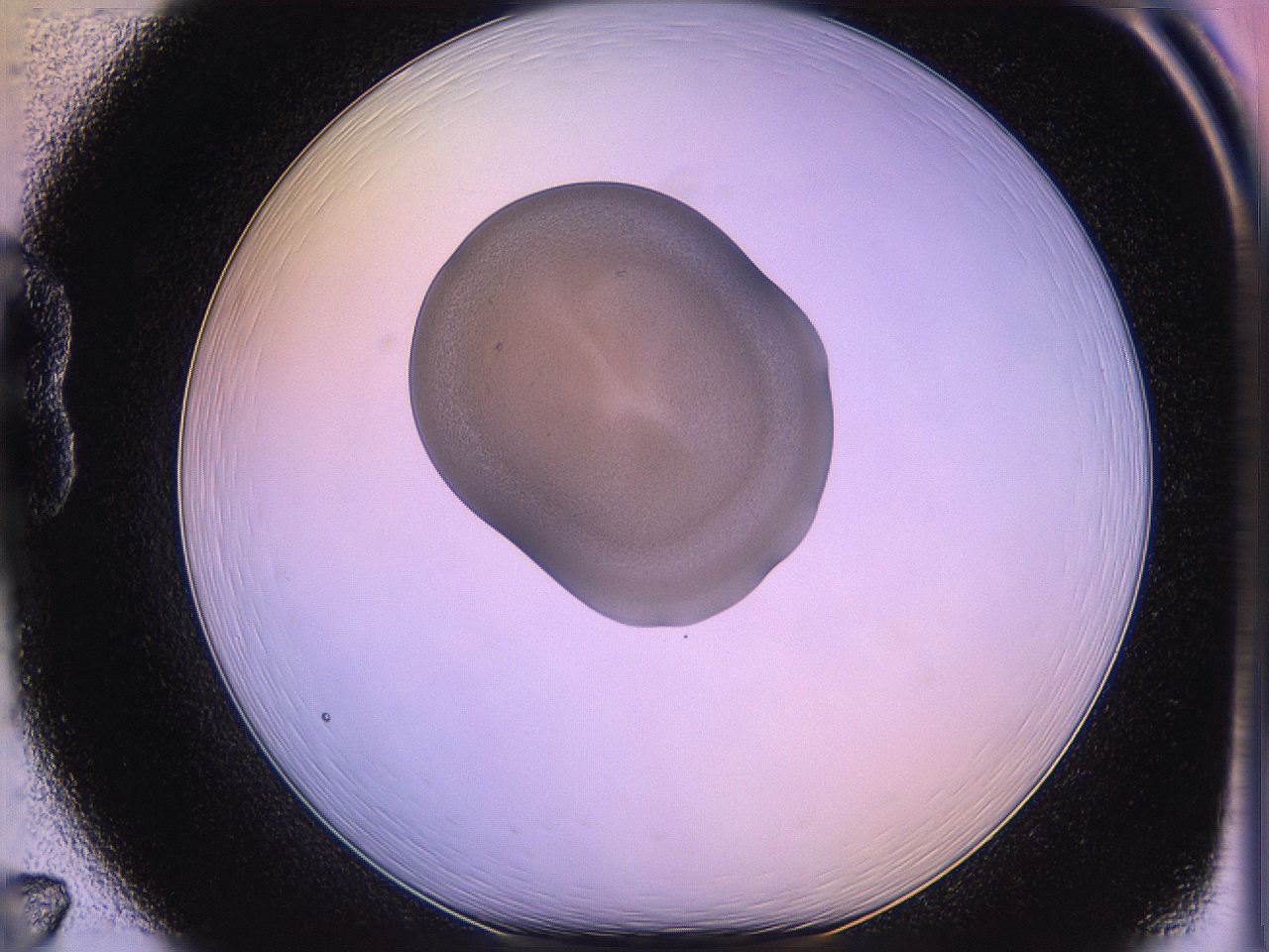 05qi_B7_ImagerDefaults_3.jpg