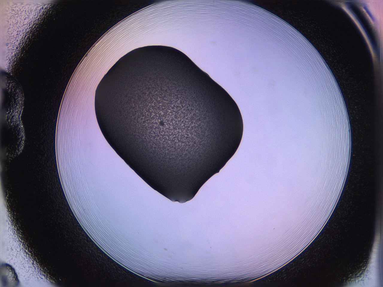 05qi_B8_ImagerDefaults_3.jpg