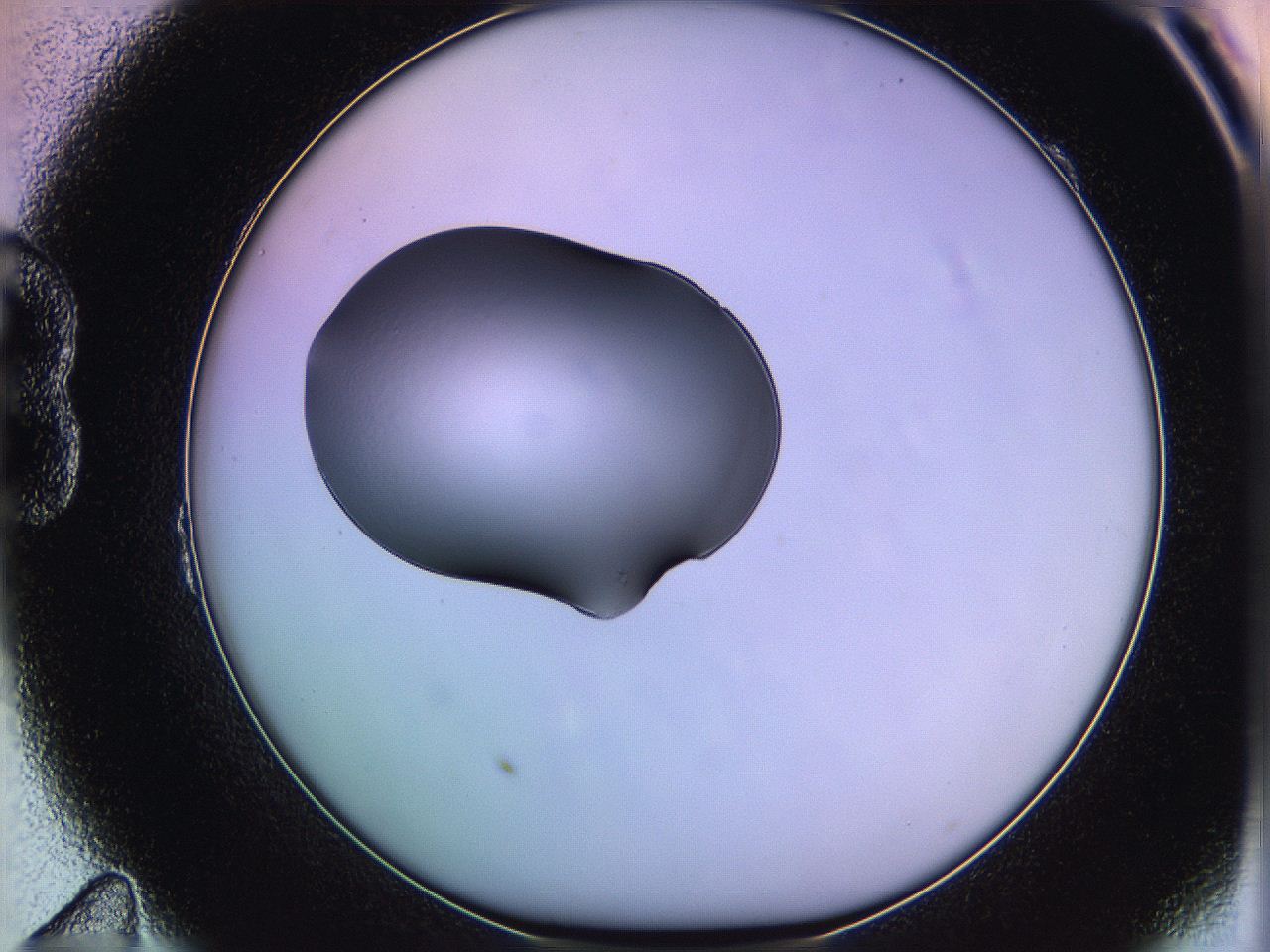 05qi_B11_ImagerDefaults_1.jpg