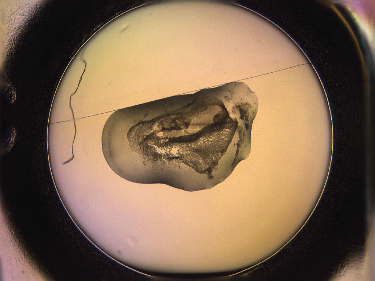 05qi_C1_ImagerDefaults_3.jpg