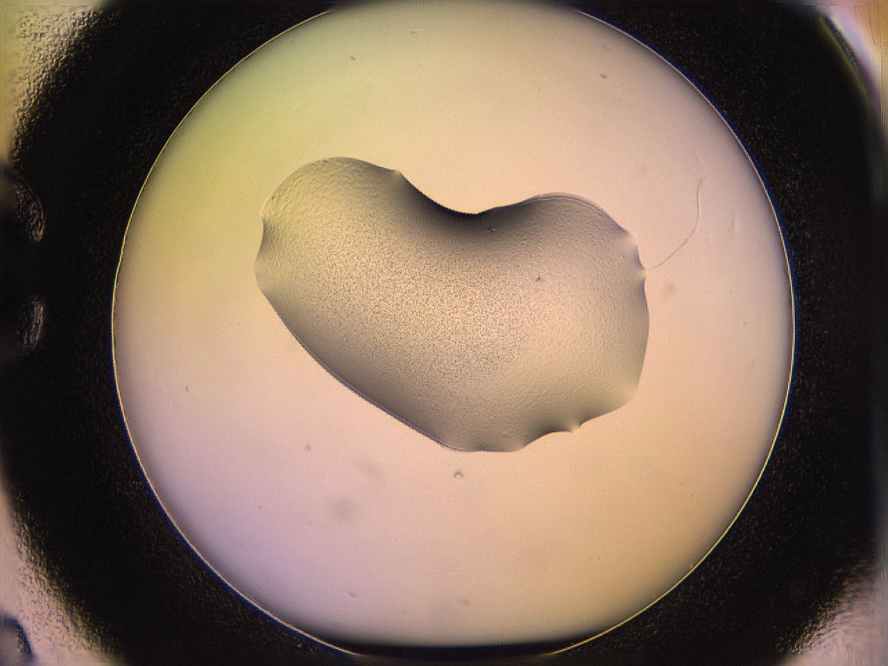 05qi_C2_ImagerDefaults_3.jpg