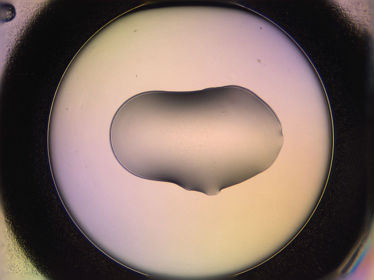 05qi_C2_ImagerDefaults_1.jpg