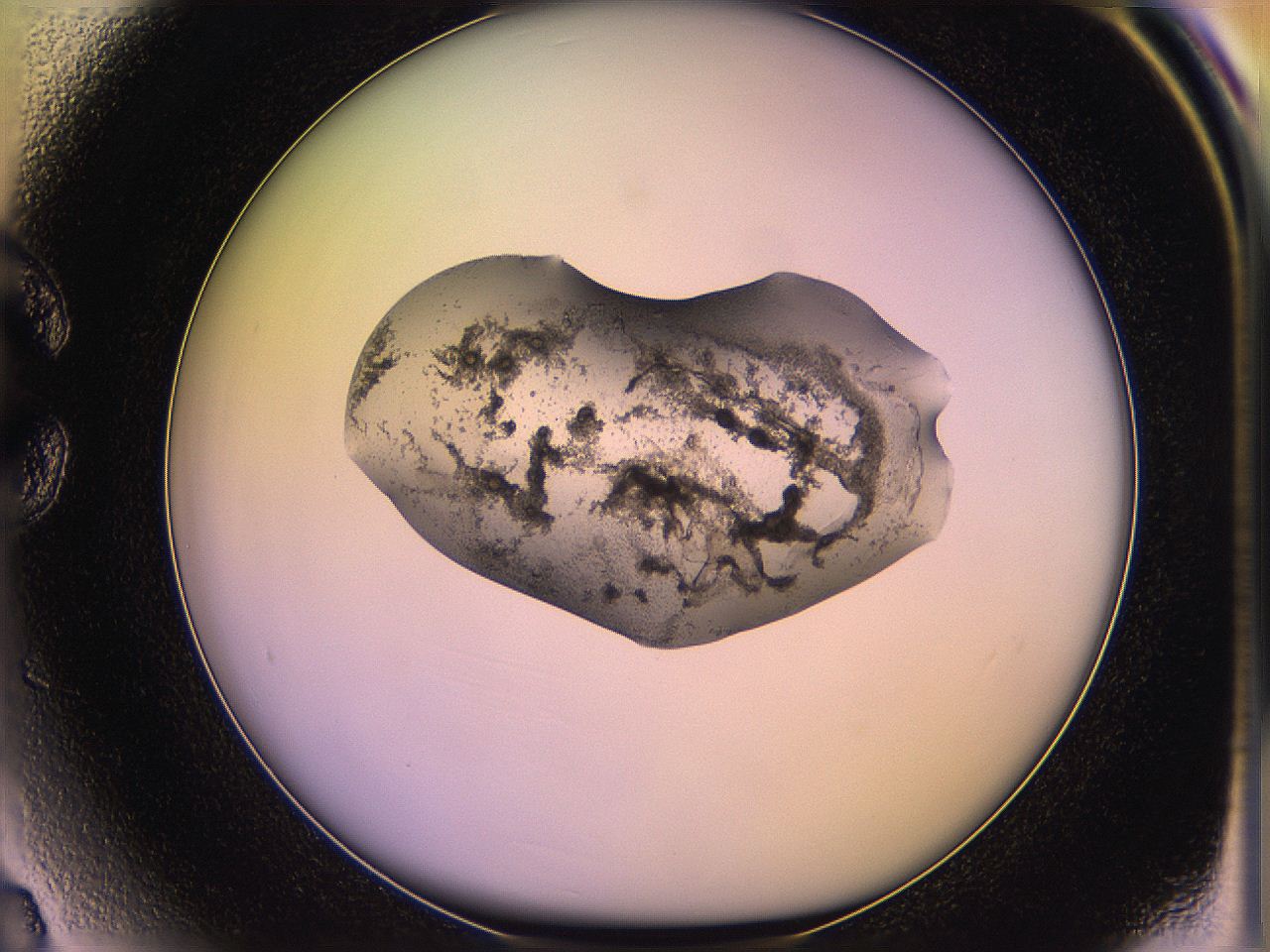 05qi_C3_ImagerDefaults_3.jpg