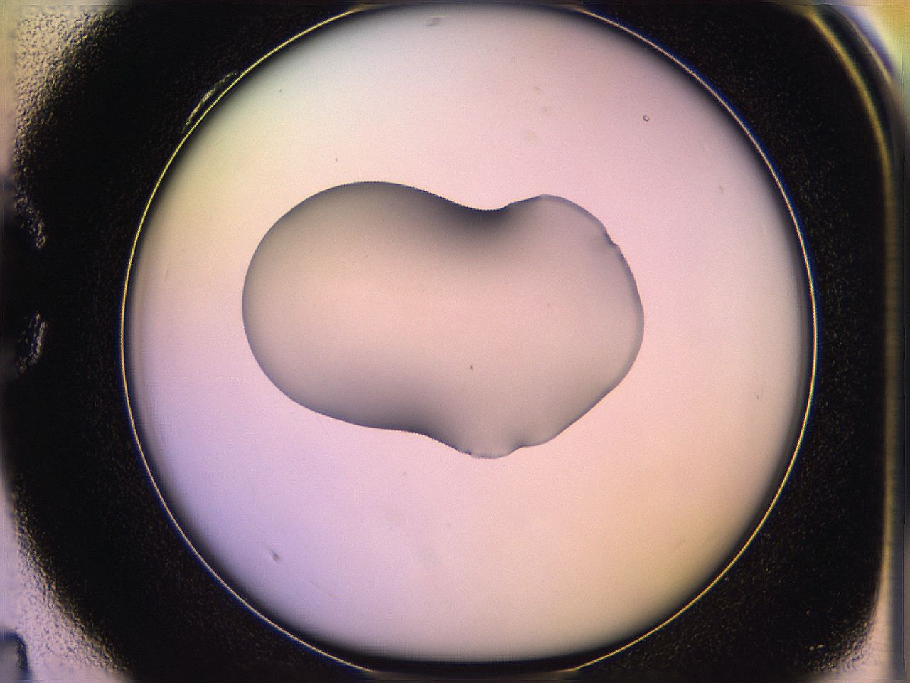 05qi_C4_ImagerDefaults_1.jpg