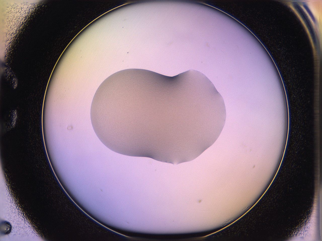 05qi_C5_ImagerDefaults_3.jpg