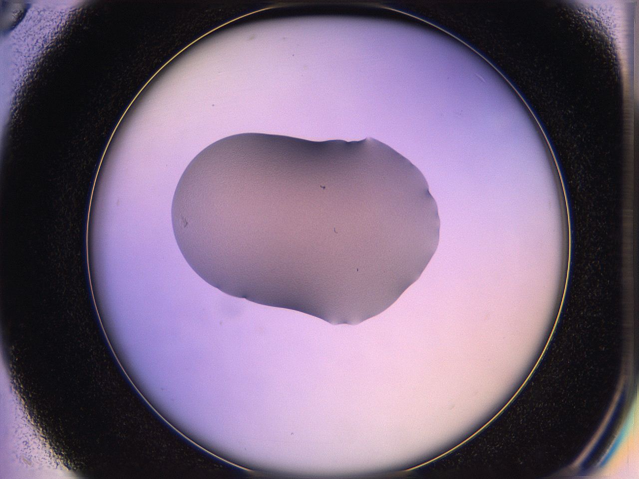 05qi_C5_ImagerDefaults_1.jpg
