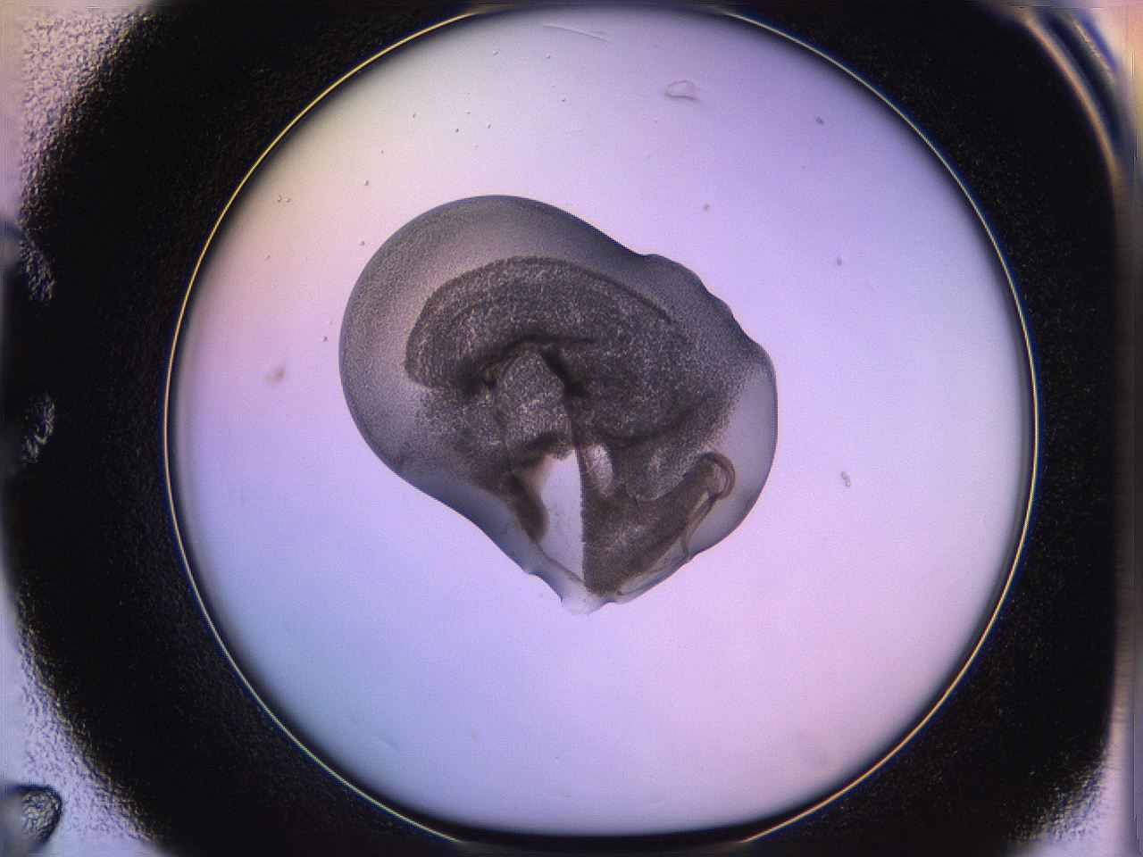 05qi_C7_ImagerDefaults_3.jpg