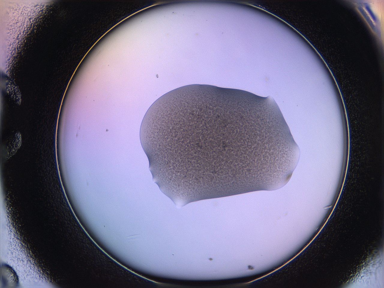05qi_C8_ImagerDefaults_3.jpg