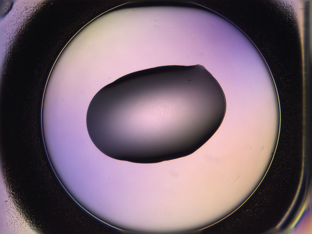 05qi_D3_ImagerDefaults_1.jpg