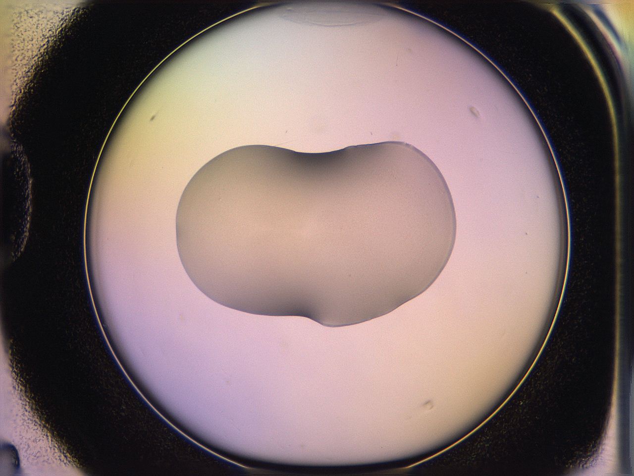 05qi_D4_ImagerDefaults_3.jpg