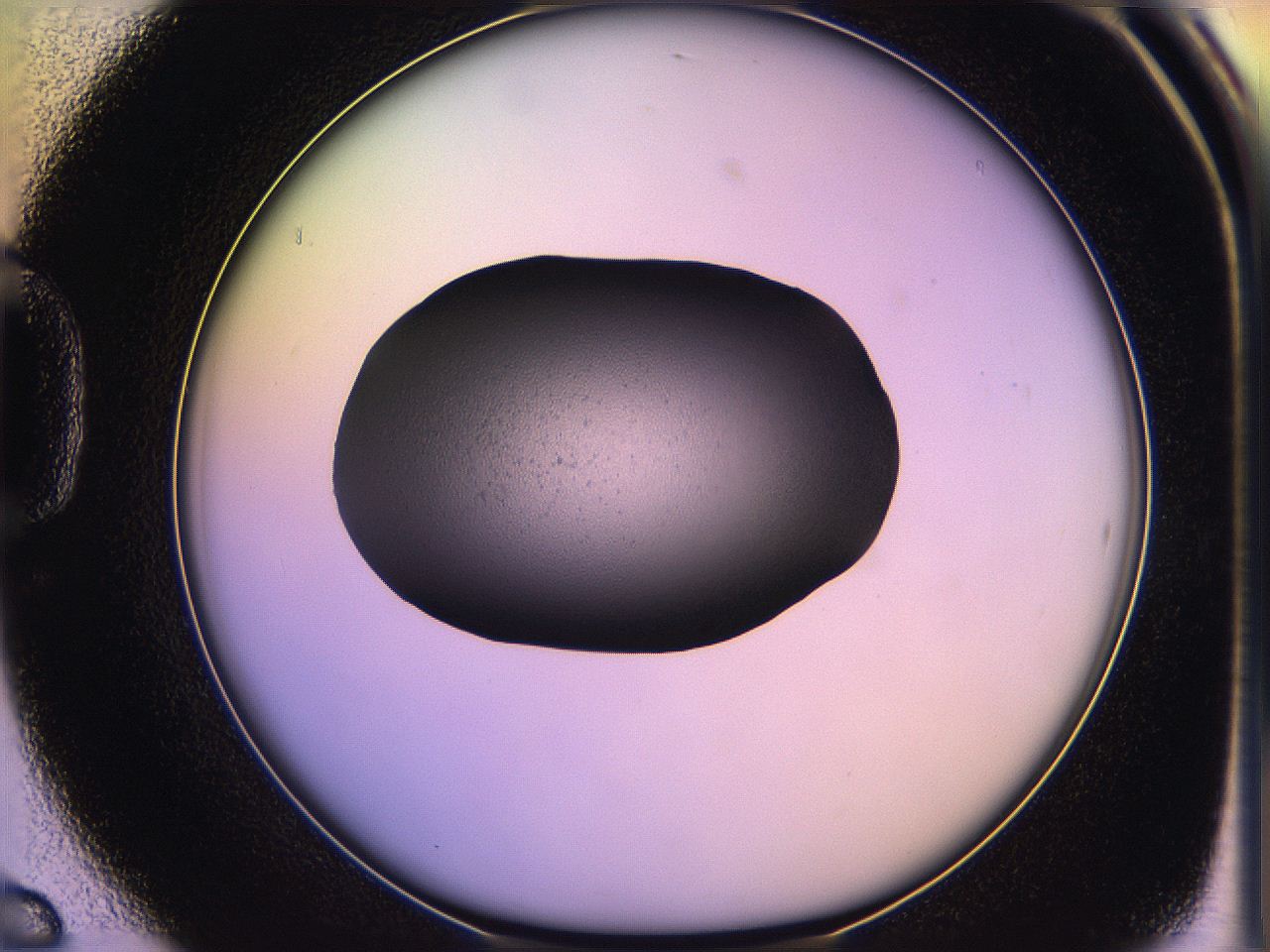 05qi_D6_ImagerDefaults_1.jpg