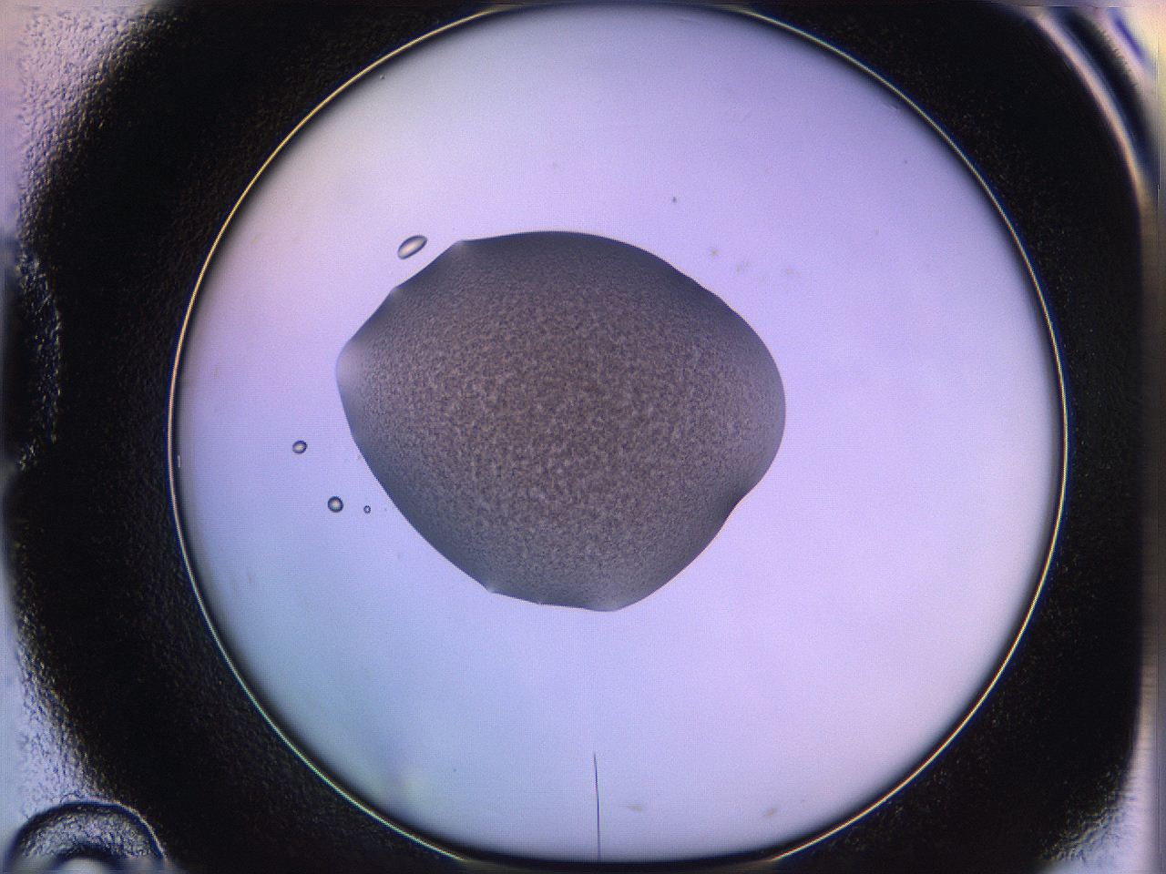 05qi_D10_ImagerDefaults_3.jpg