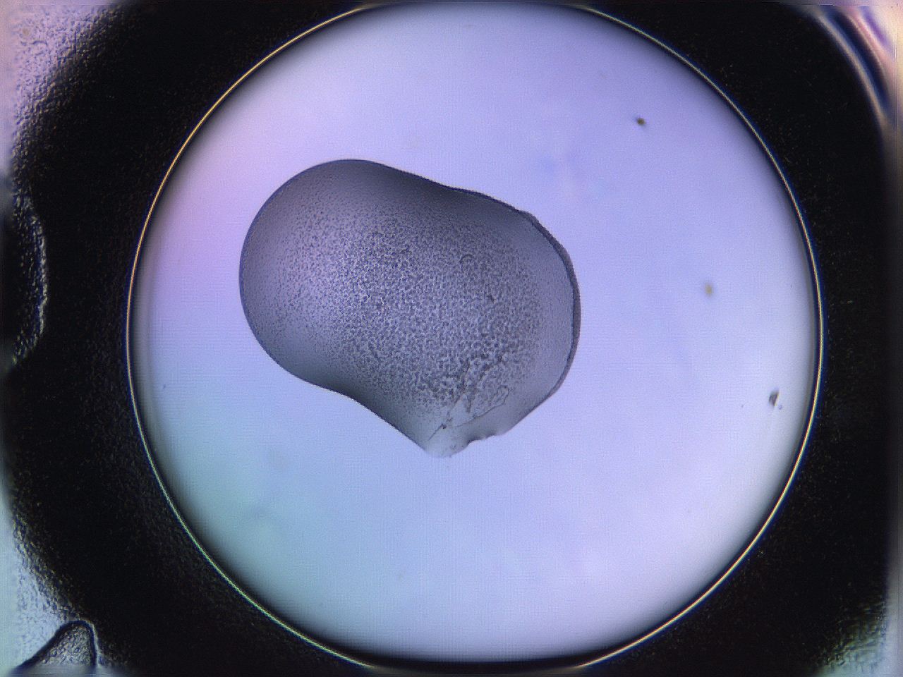 05qi_D11_ImagerDefaults_3.jpg