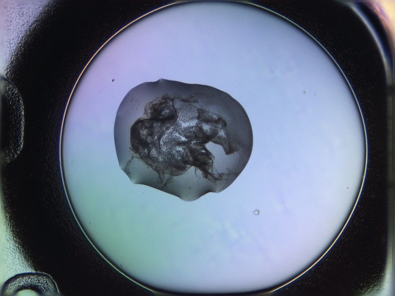 05qi_D12_ImagerDefaults_3.jpg