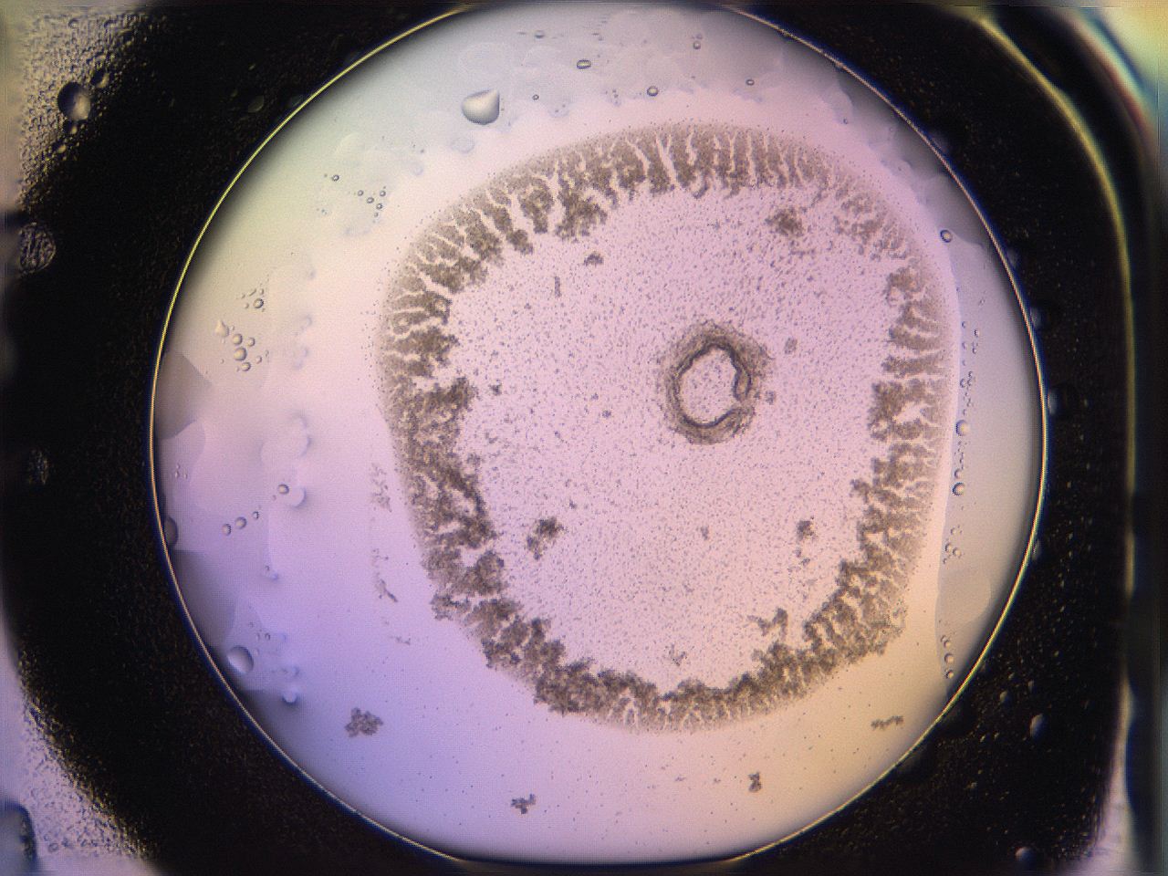 05qi_E4_ImagerDefaults_3.jpg