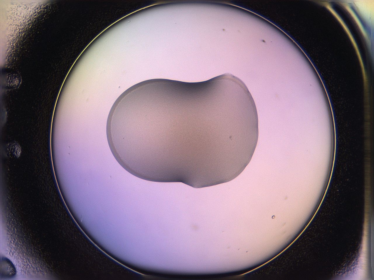 05qi_E6_ImagerDefaults_3.jpg