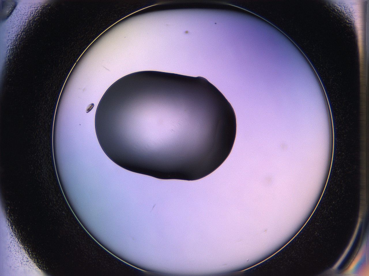 05qi_E8_ImagerDefaults_1.jpg