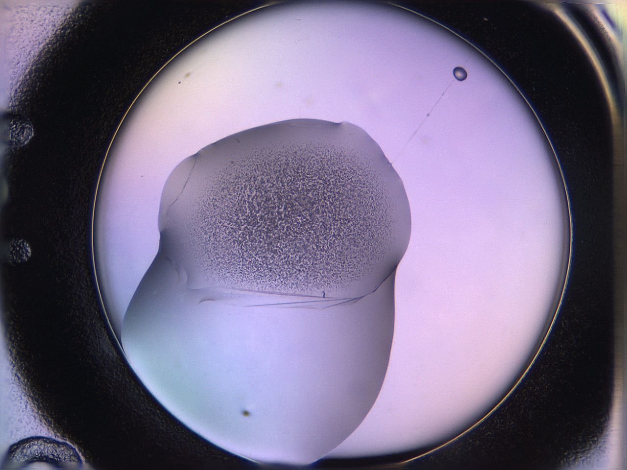 05qi_E10_ImagerDefaults_3.jpg