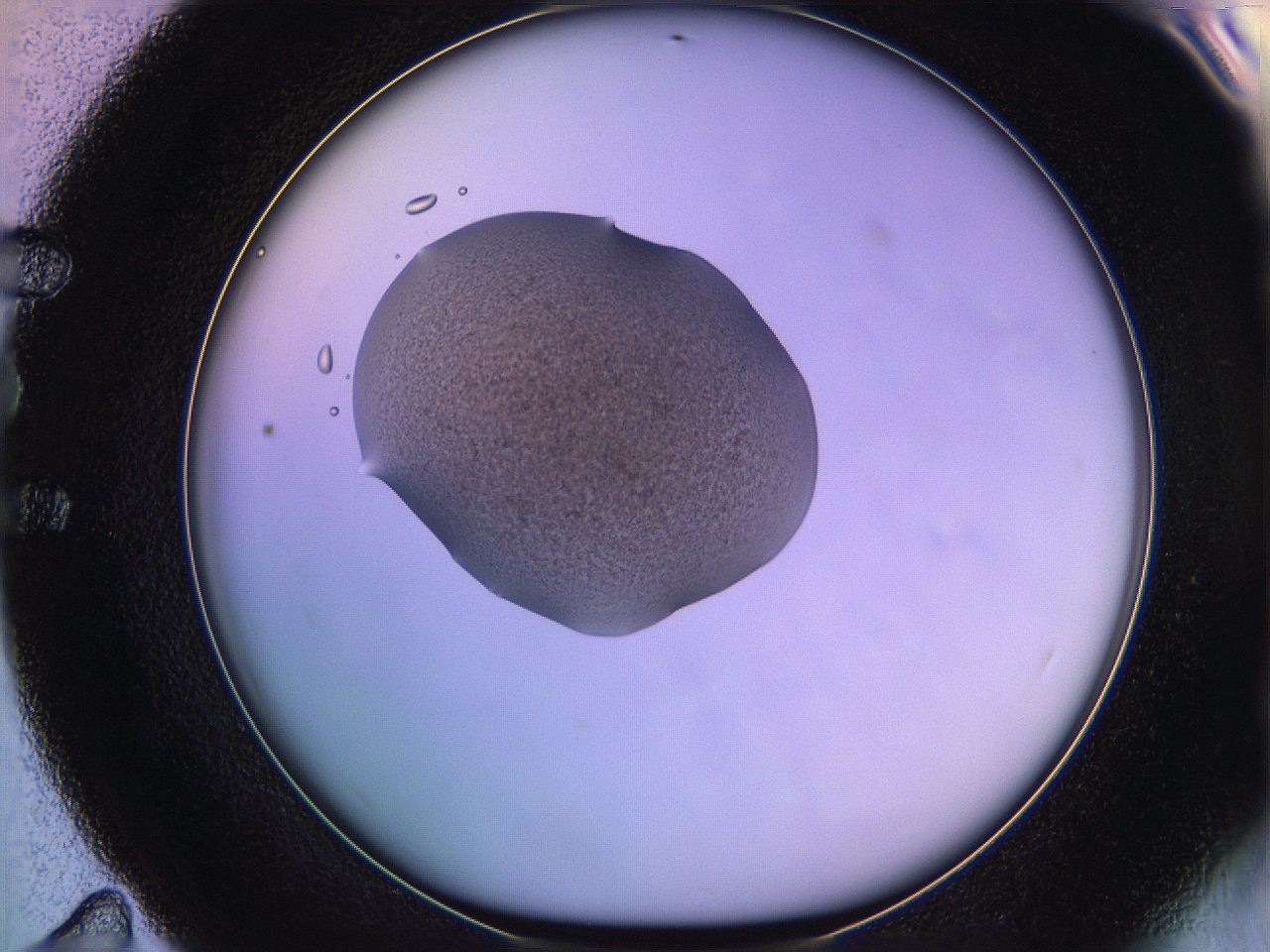 05qi_E11_ImagerDefaults_3.jpg