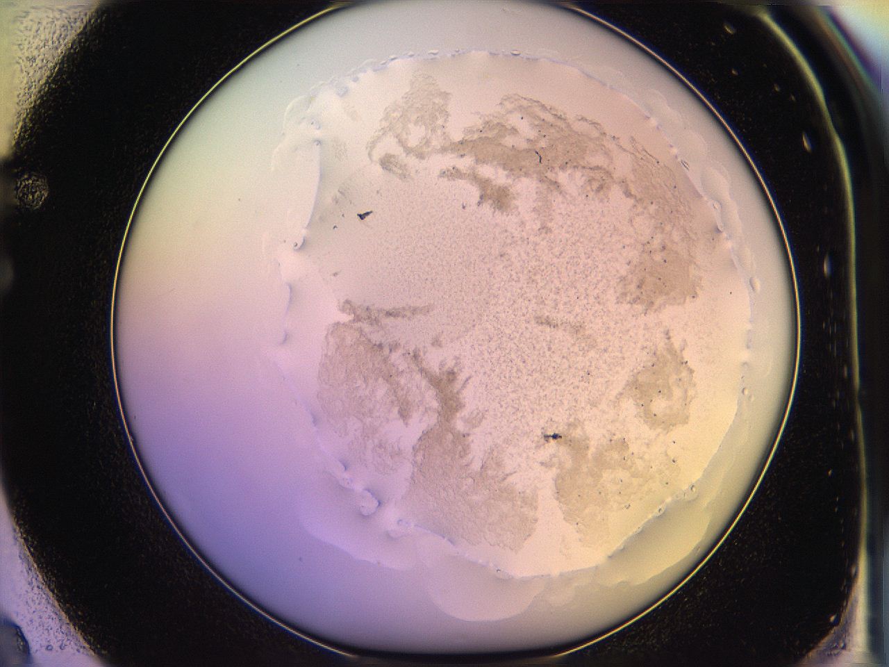 05qi_F2_ImagerDefaults_3.jpg