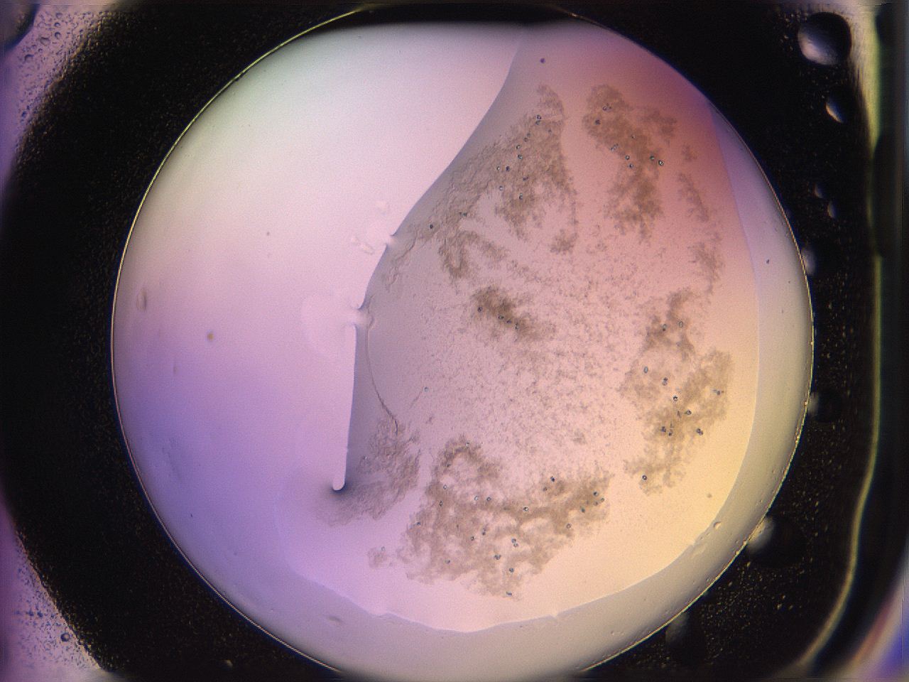 05qi_F3_ImagerDefaults_3.jpg