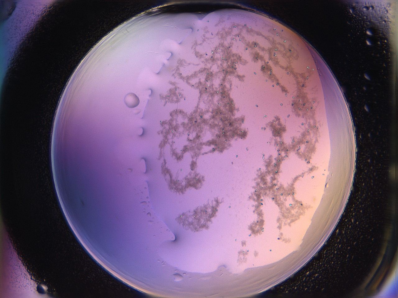 05qi_F5_ImagerDefaults_3.jpg