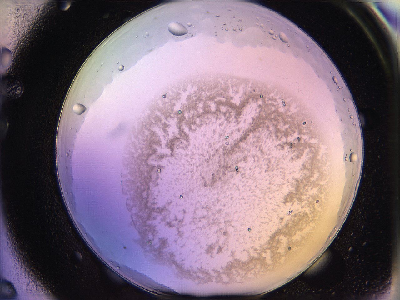 05qi_F6_ImagerDefaults_2.jpg