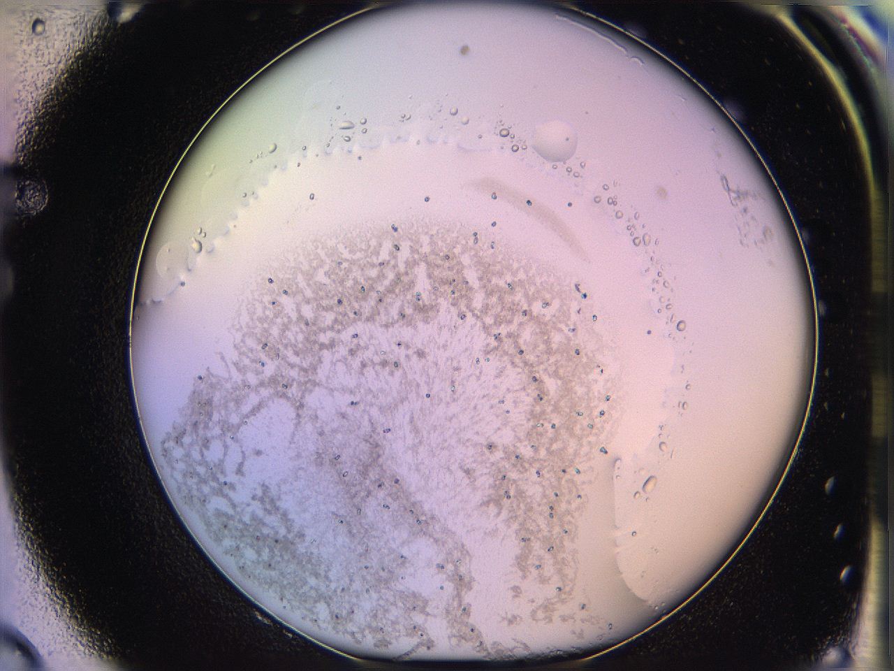 05qi_F8_ImagerDefaults_3.jpg