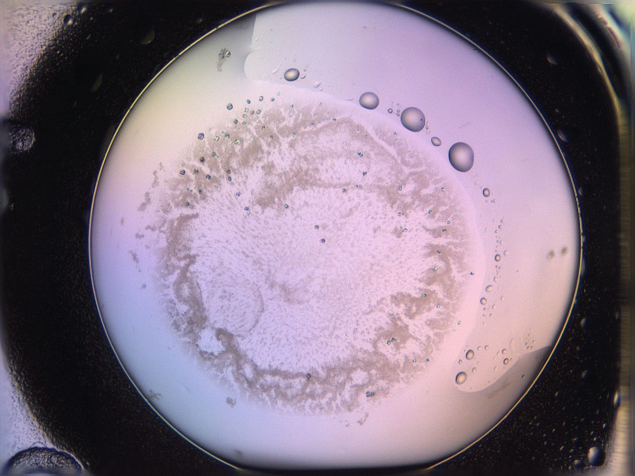 05qi_F10_ImagerDefaults_3.jpg
