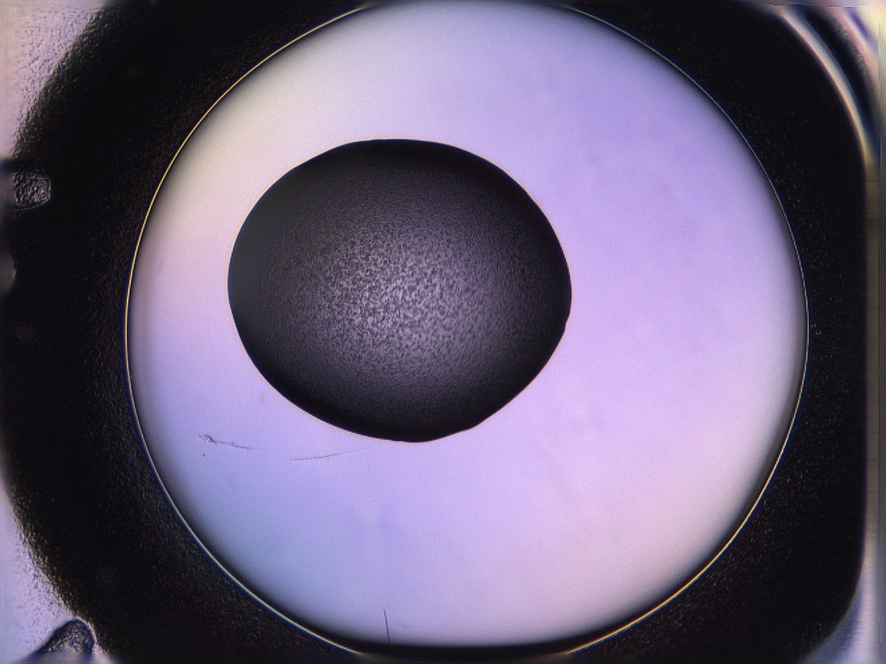 05qi_F11_ImagerDefaults_3.jpg