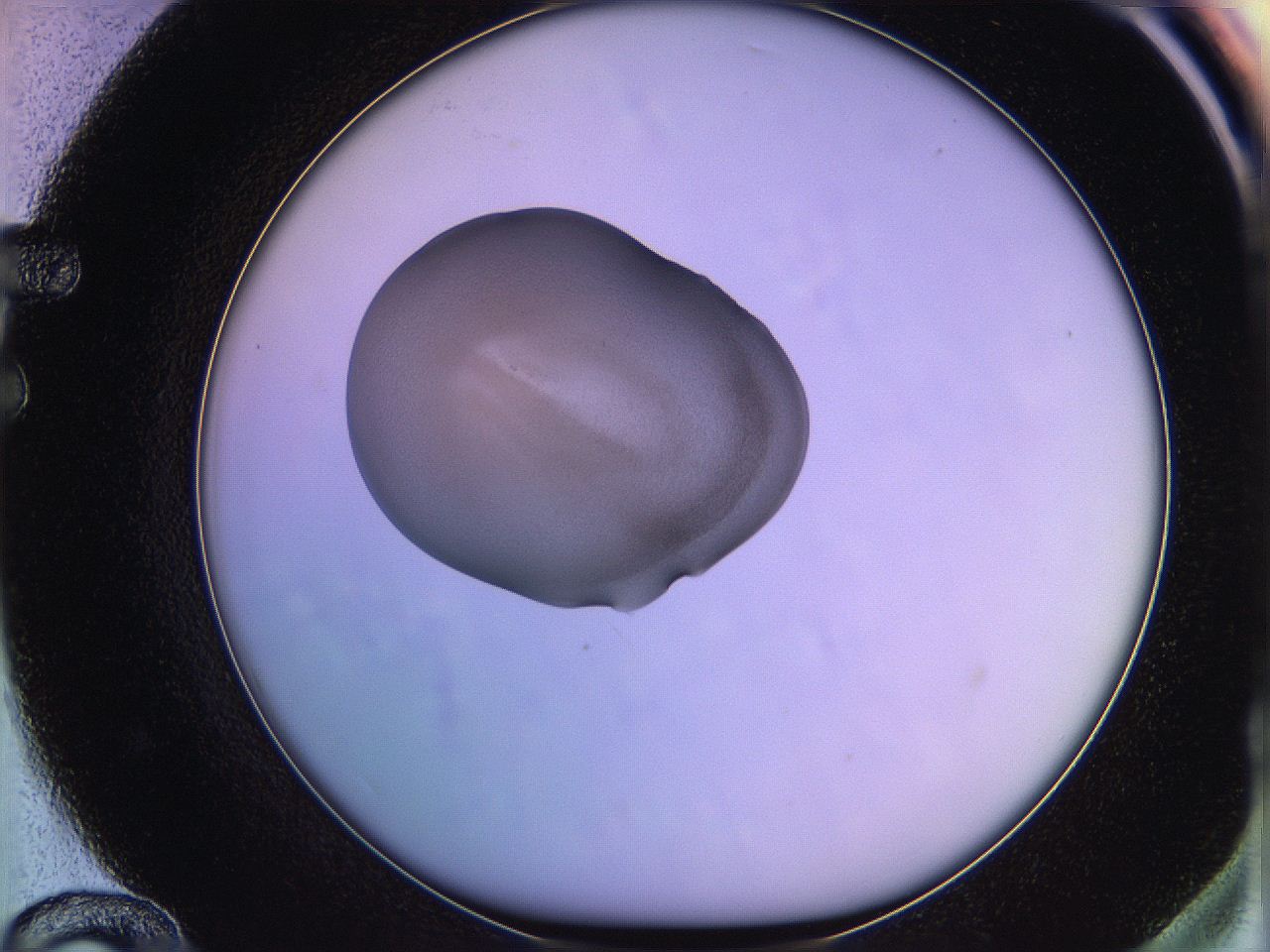 05qi_F12_ImagerDefaults_3.jpg