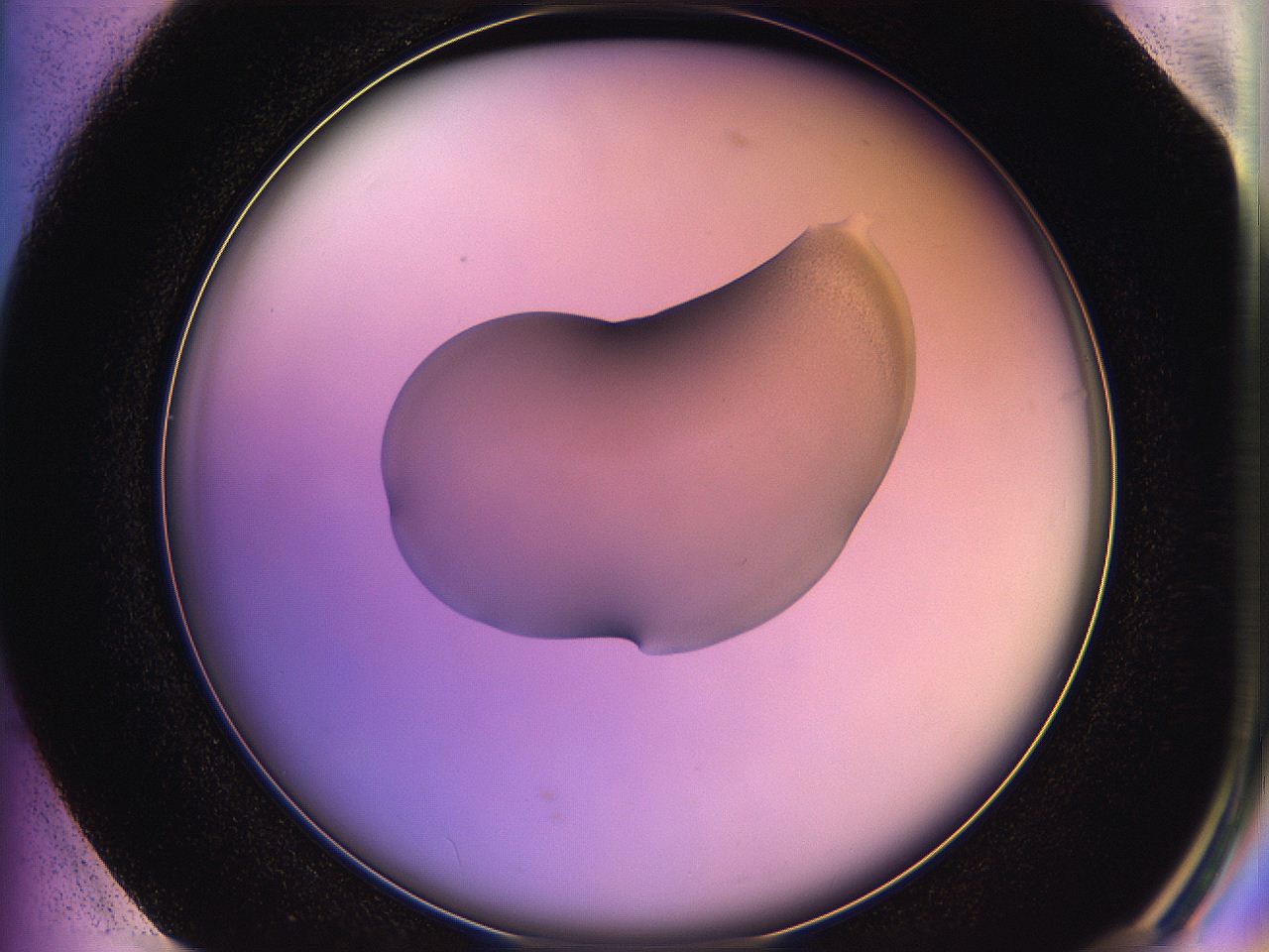 05qi_G1_ImagerDefaults_1.jpg