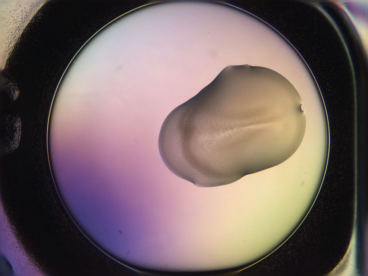 05qi_G2_ImagerDefaults_3.jpg
