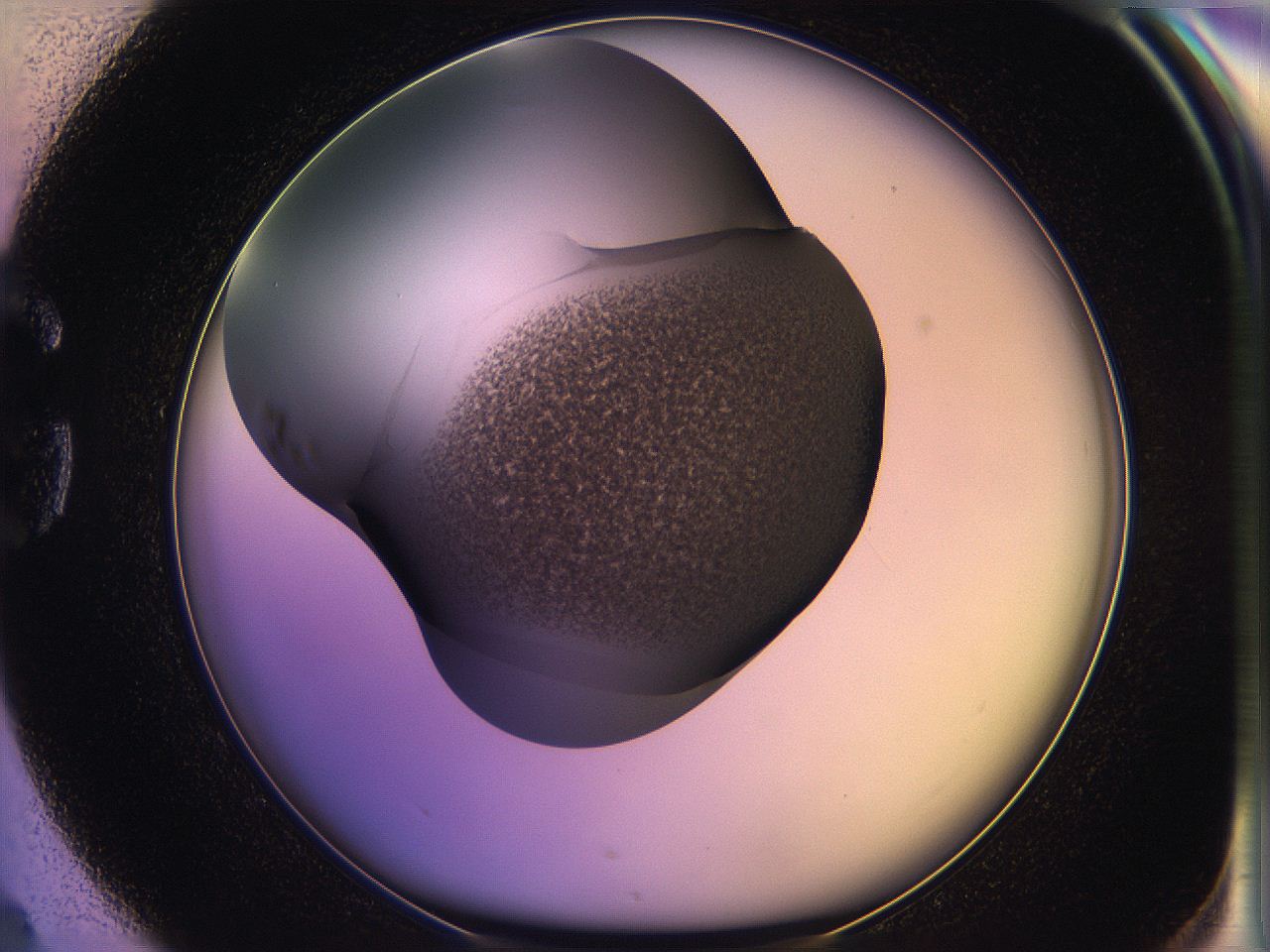 05qi_G4_ImagerDefaults_3.jpg