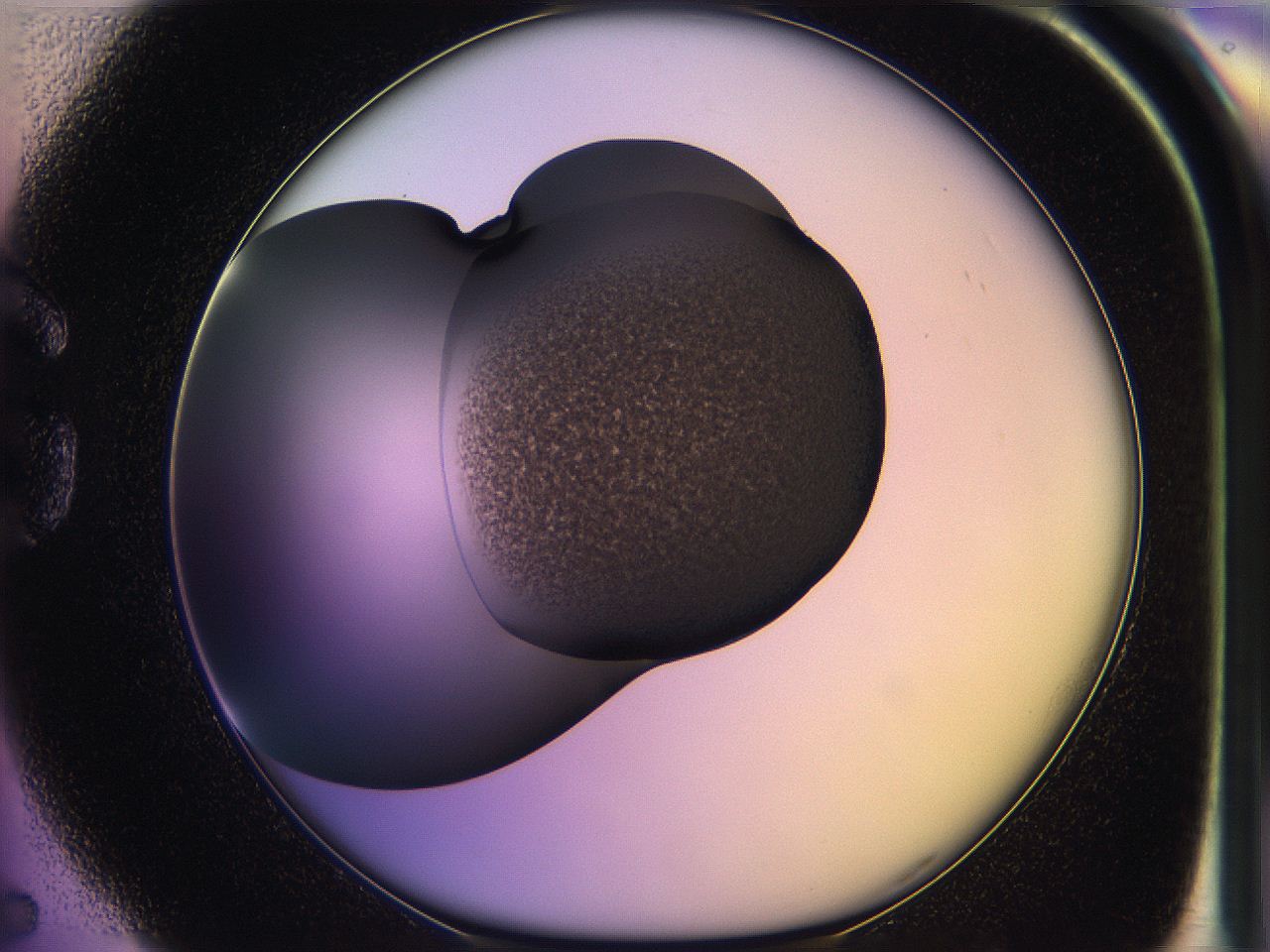 05qi_G5_ImagerDefaults_3.jpg