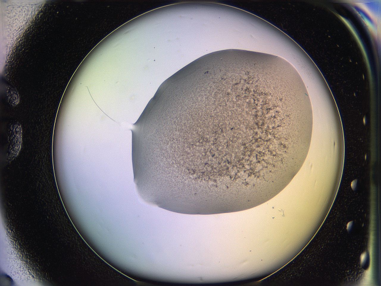05qi_G8_ImagerDefaults_3.jpg