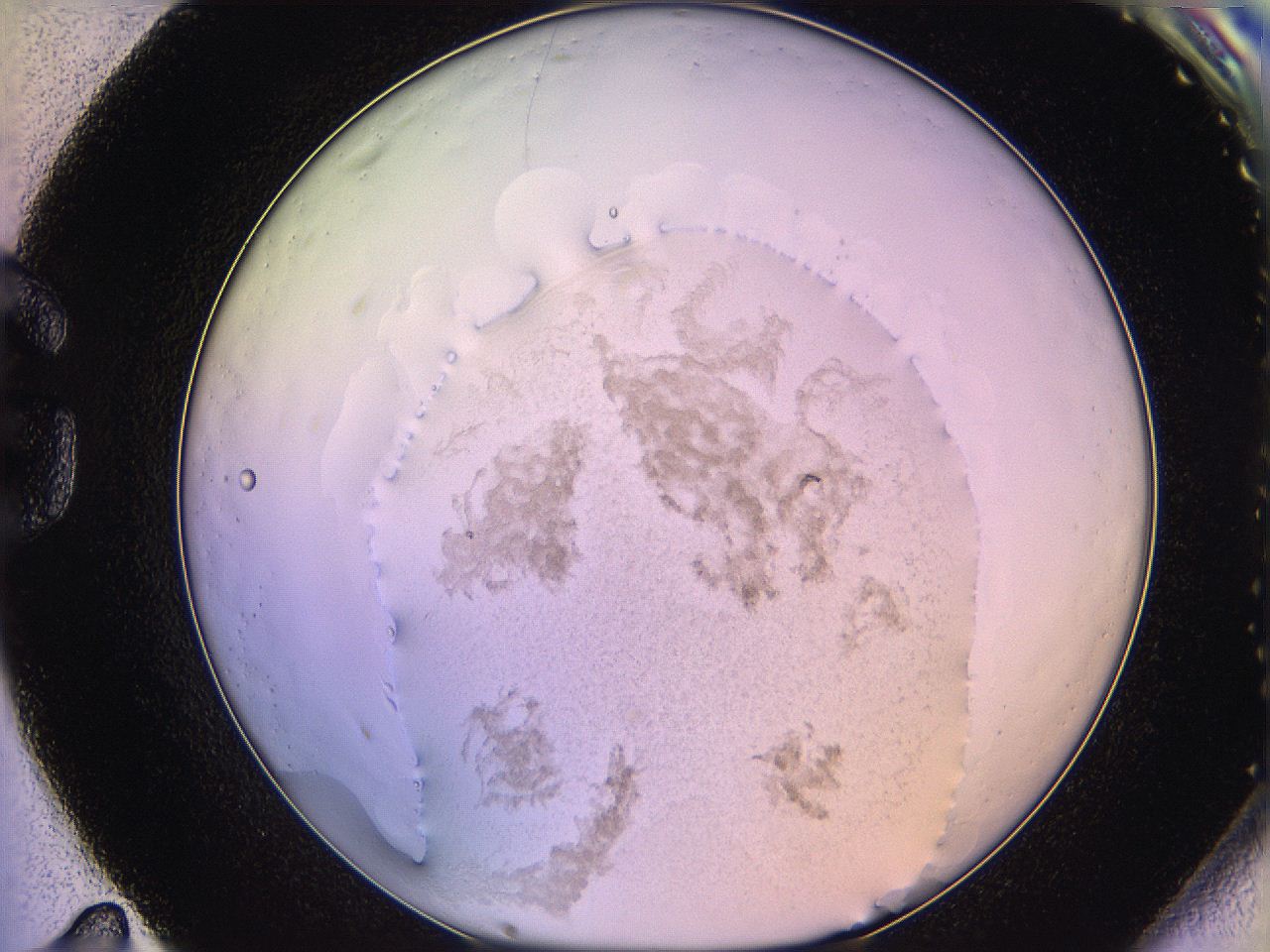 05qi_G11_ImagerDefaults_3.jpg