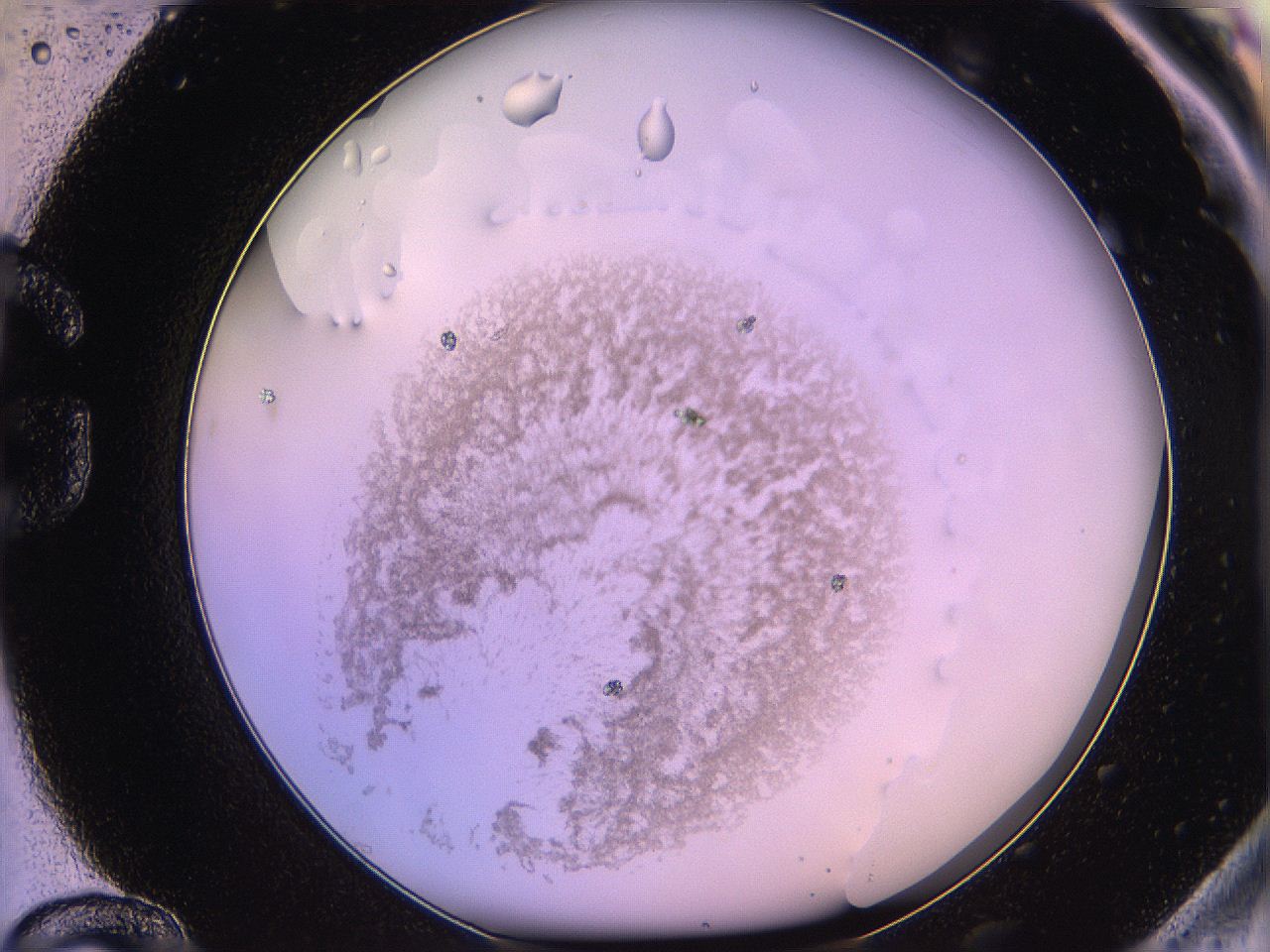 05qi_G12_ImagerDefaults_3.jpg