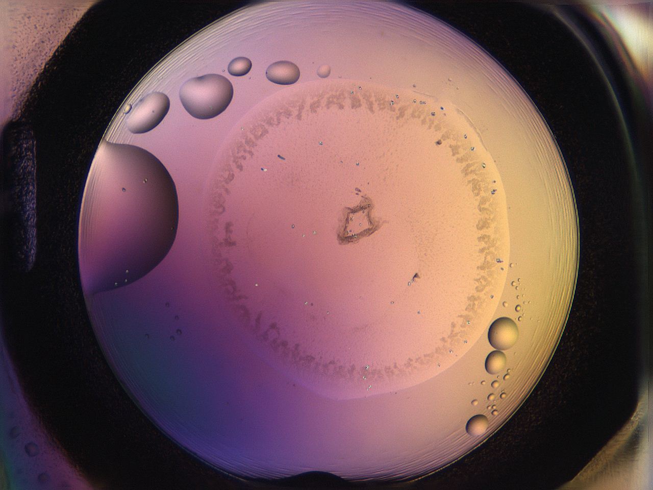 05qi_H1_ImagerDefaults_3.jpg